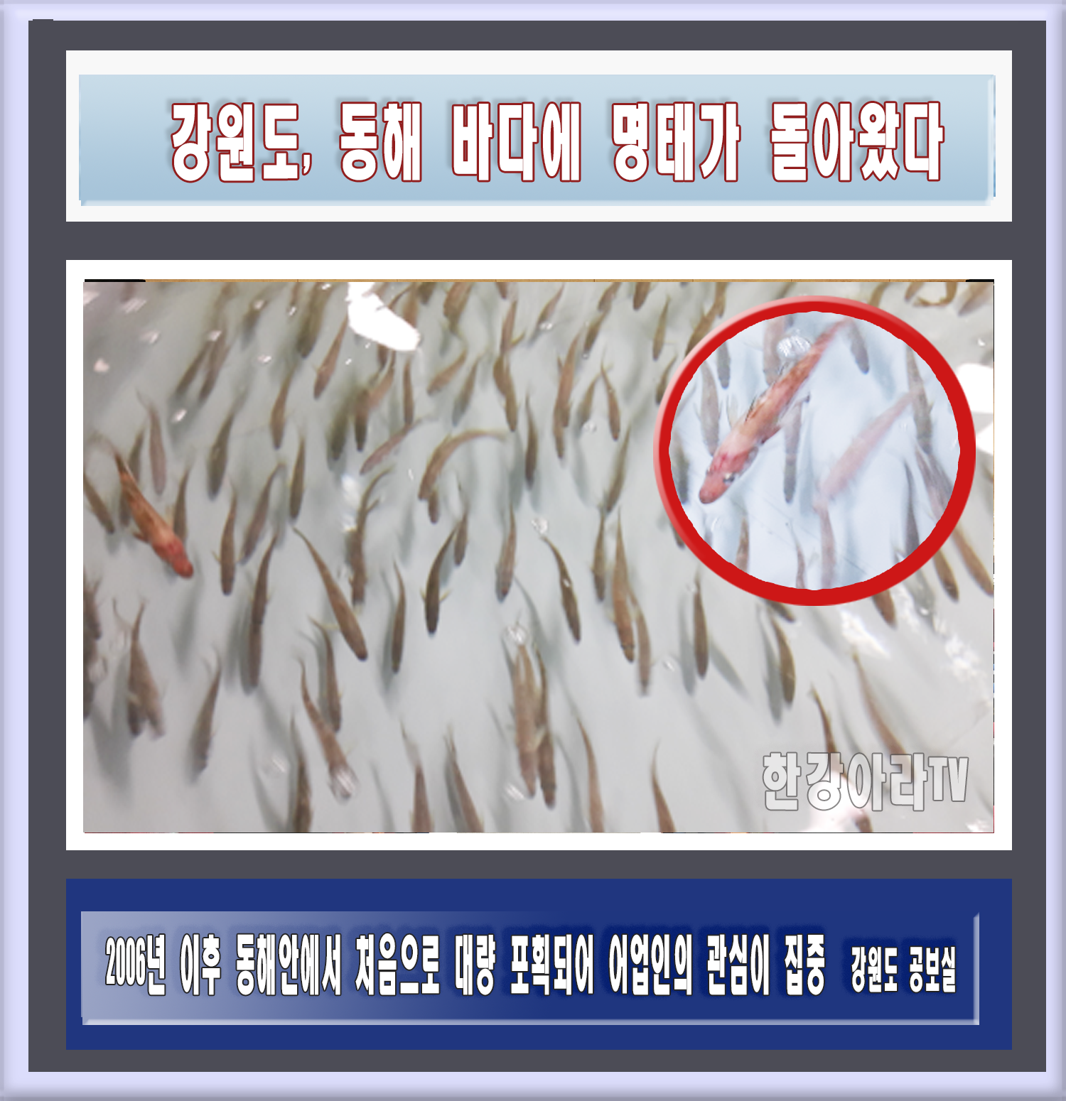 4ec99661aed2a4386b47201628d420f8.png