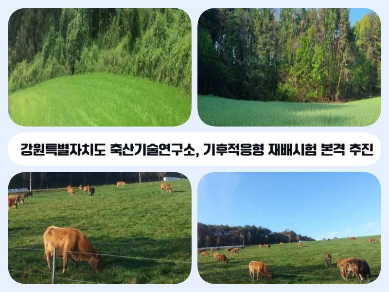 7b92aa8d2b53785c6a36557304667c92.png