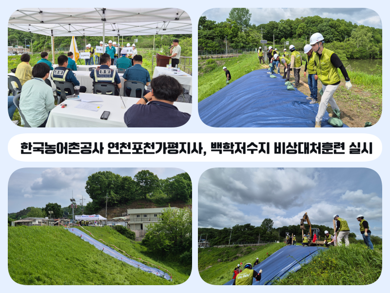 9e29098d3cf47fe72cae9c39e142b800.png